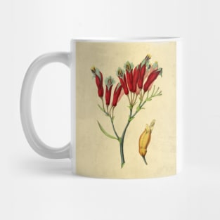 Phormium Mug